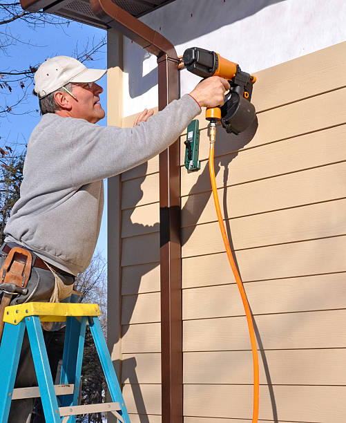 Best Custom Siding Design  in Bangs, TX